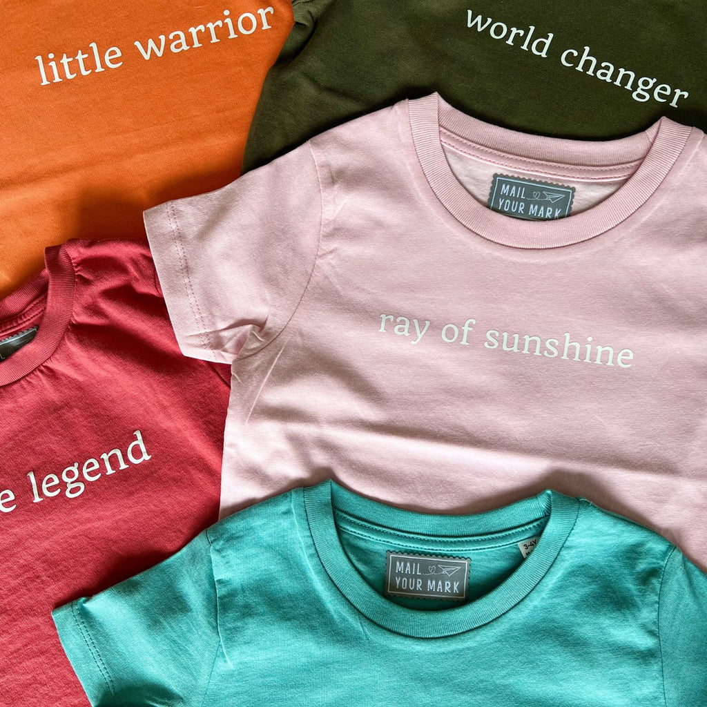 Kids Statement t-shirts. little warrior, world changer, little legend, ray of sunshine